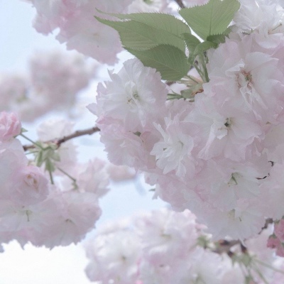 兽设森林场景设计兽圈群